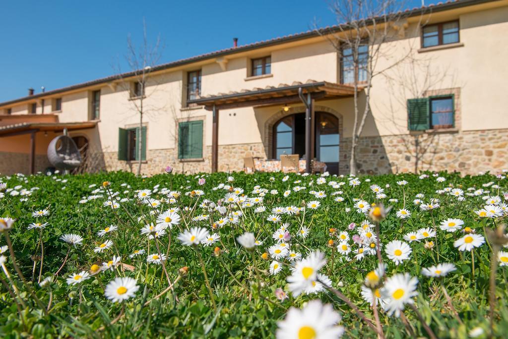 Agriturismo Biologico Diacceroni Villa Villamagna  Exterior photo